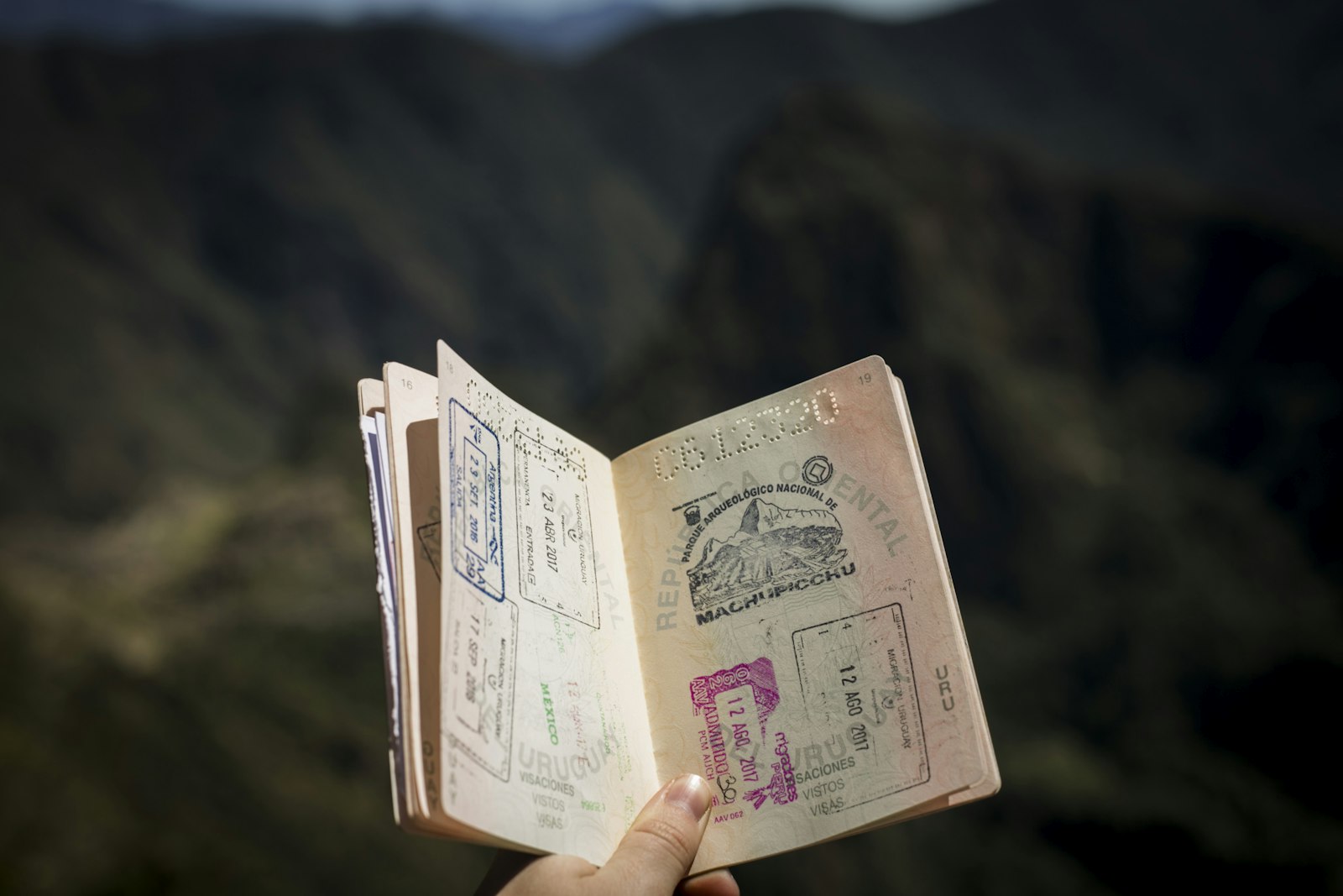 Tourist Visa / Visit Visa